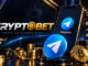 cryptobet telegram kanalı
