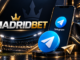 madridbet telegram girişi,